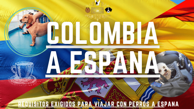 transporte-internacional-colombia-espana