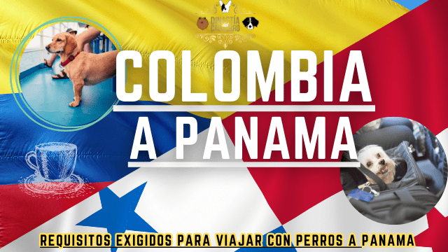 transporte-internacional-colombia-panama