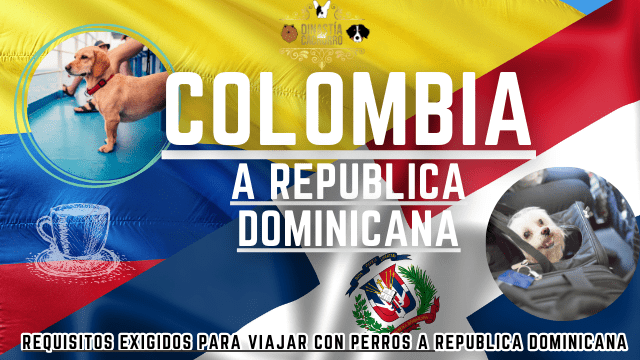 transporte-internacional-colombia-republica-dominicana